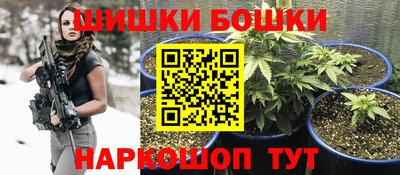 трава Пугачёв
