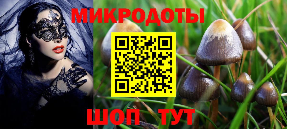 Саяногорск  Псилоцибиновые грибы Cubensis  Вход с VPN 